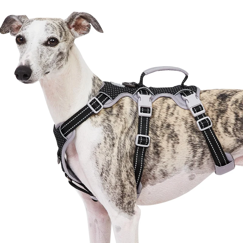 Huntboo Harnais Chien Anti-Évasion Réfléchi avec Poignée – Réglable (Noir, L)
