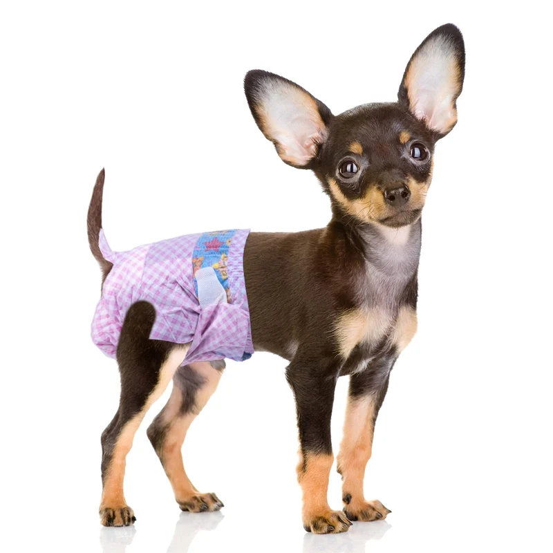 Flying Paws Couches jetables pour chien et chat femme – XS, 40 unités – indicateur d’humidité