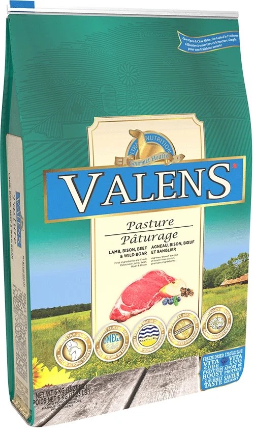 Nourriture Valens Chien Pâturage