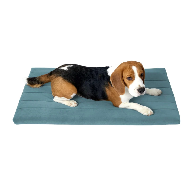 BALANCE Lit de caisse pour chien – Matelas orthopédique imperméable 36x23x1,6 po