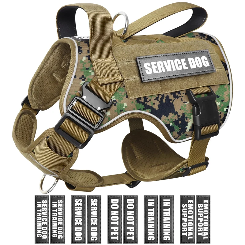 WINSEE Harnais Tactique pour Chien Moyen – Système MOLLE, Boucles Métal et Patchs