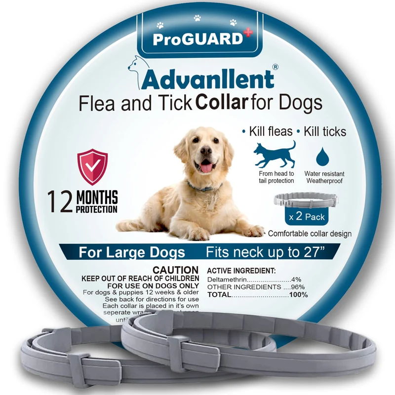 Advanllent Collier Anti-Puces et Tiques pour Chiens – Prévention 12 Mois, Taille Unique