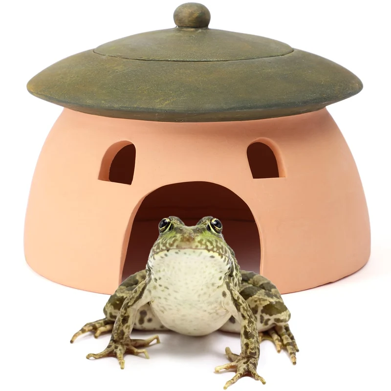 Maison grenouille et crapaud Tino Kino — Poterie rouge, abri extérieur 8x6 pouces avec couvercle vert