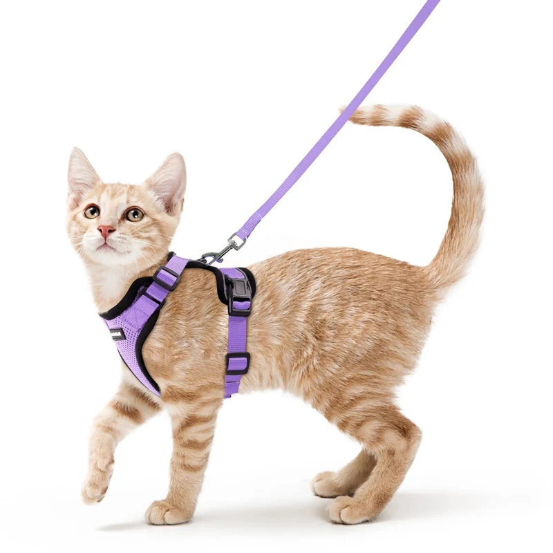 rabbitgoo Harnais et Laisse pour Chat – Confort Léger et Anti-Échappement, Lilas, Taille S