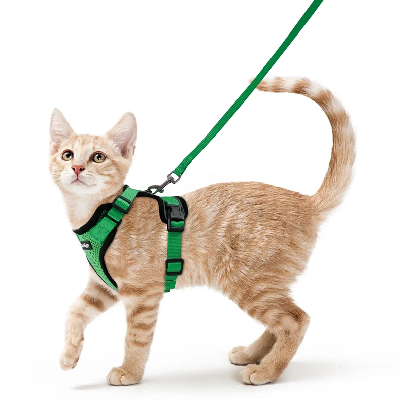 Rabbitgoo Harnais et Laisse pour Chat – Anti-Évasion, Respirant, Réglable, Bandes Réfléchissantes, Vert Herbe, XS