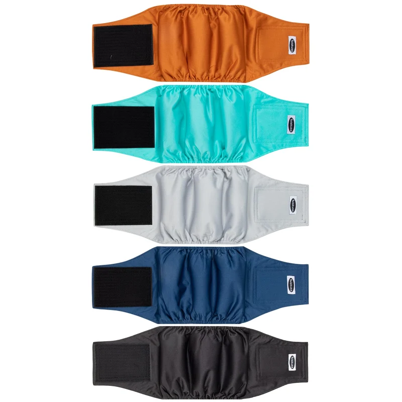 Tuiskusa Couches pour Chiens Mâles – Bandes Abdominales Ultra-Absorbantes Réutilisables (5 pièces)