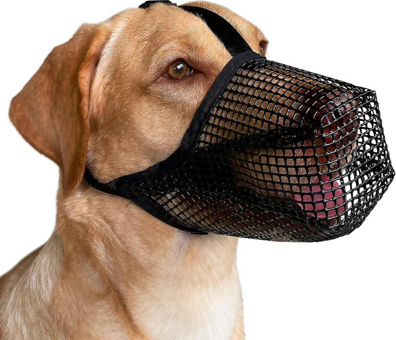 Mayerzon Muzzle pour Chien – Maillage Doux, Taille Réglable, Prévention Morsures et Léchages