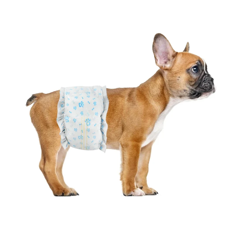 Ypfyed - Couches jetables pour chien mâle (96 pièces, taille M, bleu)
