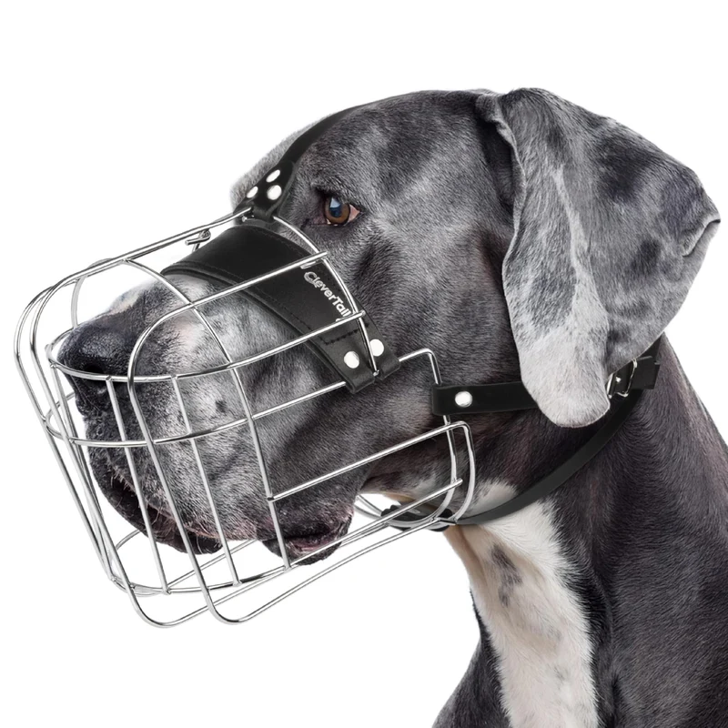 CleverTail Muzzle XXL pour Grand Chien – Panier Métallique pour Aboyer et Empêcher les Morsures (Pour Dogue Allemand, Rottweiler, Cane Corso et Autres Grands Chiens)