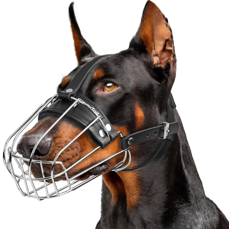 CleverTail – Muselière métallique pour grand chien (Doberman, Malinois) – Cage en acier