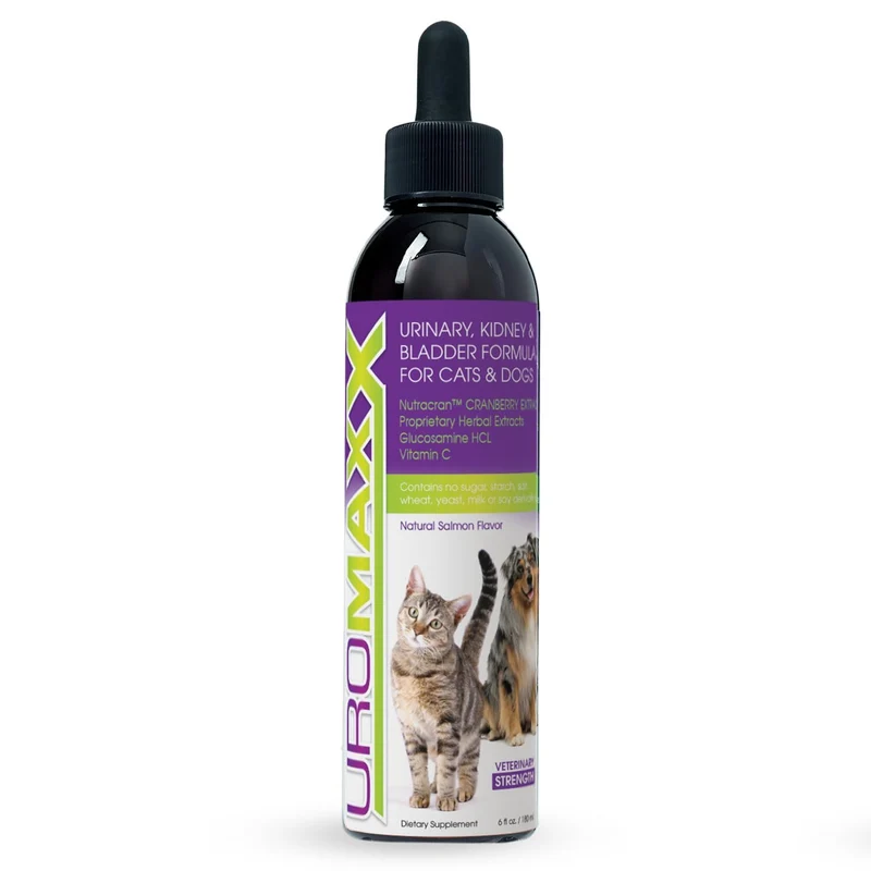 UroMAXX : Soin Urinaire Naturel pour Chiens et Chats – Saveur Saumon, Flacon 6 oz