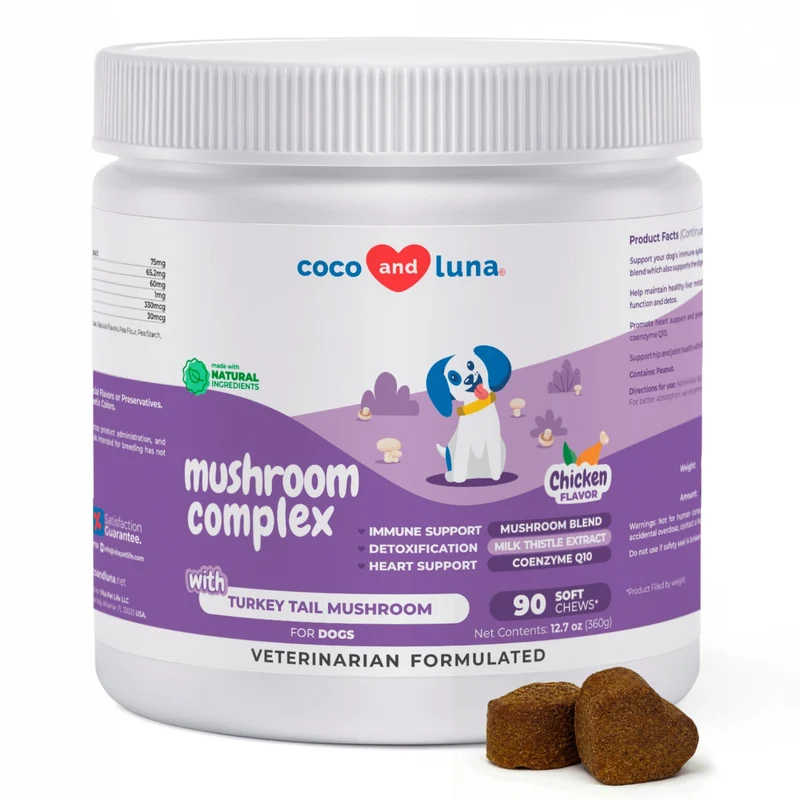 Coco et Luna Turkey Tail pour chiens – complexe de champignons avec Reishi, Cordyceps, Lion’s Mane, Maitake, Shiitake, vitamines et CoQ10