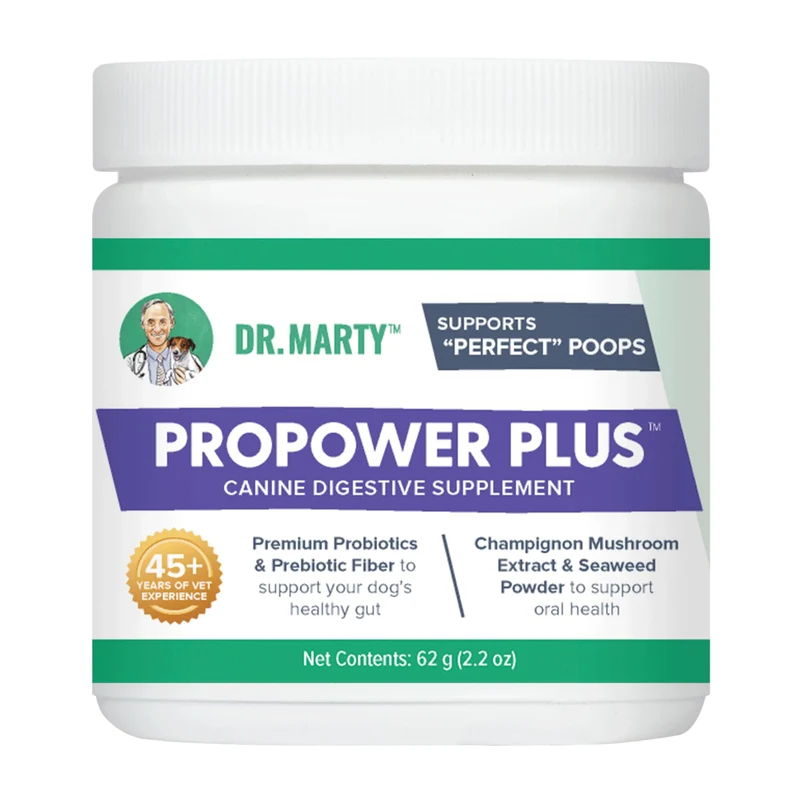 Dr. Marty ProPower Plus Probiotiques en Poudre — Santé intestinale et bucco-dentaire du chien, Flacon 2,2 oz