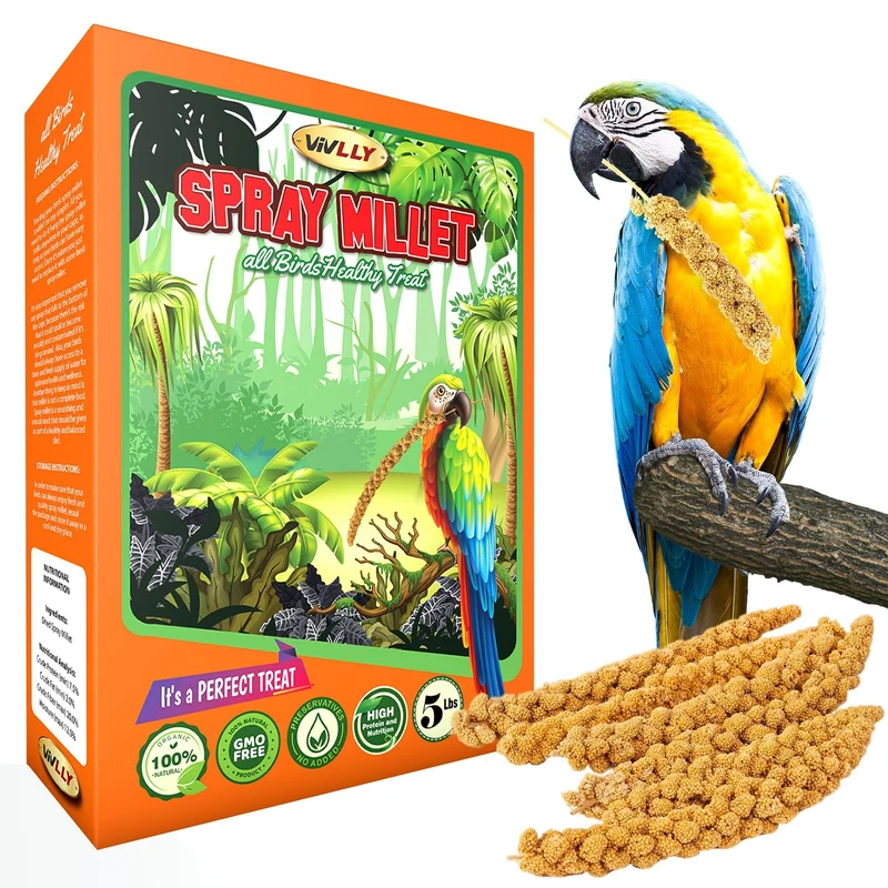 Vivlly Millet en spray – 2,27 kg, Non-OGM, séché au soleil – friandise pour perruches, cacatoès et petits oiseaux