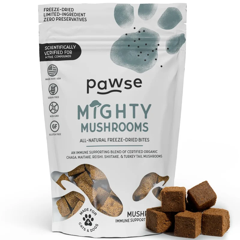 Pawse Mighty Mushroom Chews – Supplément champignons pour chiens et chats | Soutien immunitaire, peau & digestion | 60 bouchées
