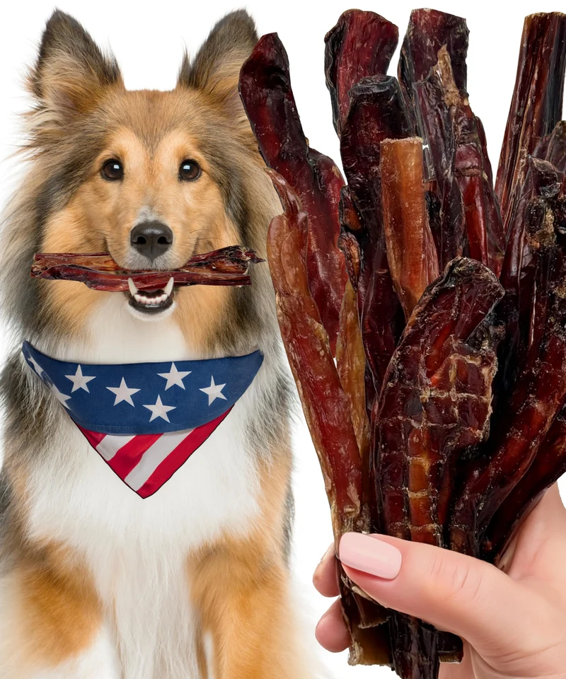 Bâtonnets Bully pour chiens – Lively Tails, fabriqués aux États‑Unis, goût naturel, 6 pouces, sans rawhide, 12–14 friandises par sachet, 8 oz