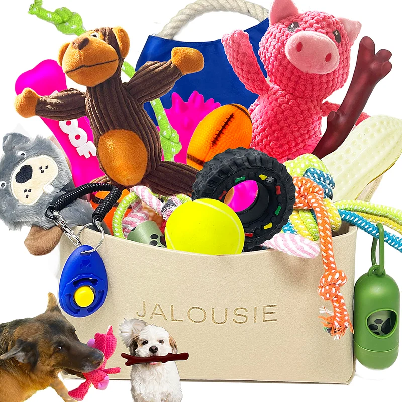 Jalousie – Lot de Jouets Siffleurs pour Chiens (24 Pièces) – Pour Petits et Moyens