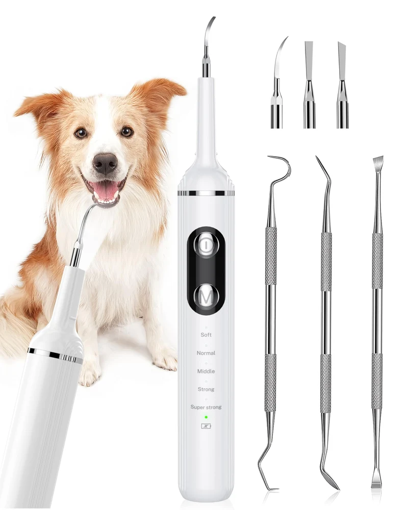 Nature Nerds Éliminateur de Plaque pour Dents – Kit de Brossage Dentaire pour Animaux avec Lampe Intégrée