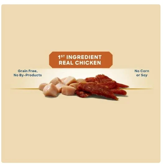 Golden Rewards – Friandises sèches au poulet premium pour chiens, sans céréales, 450 g