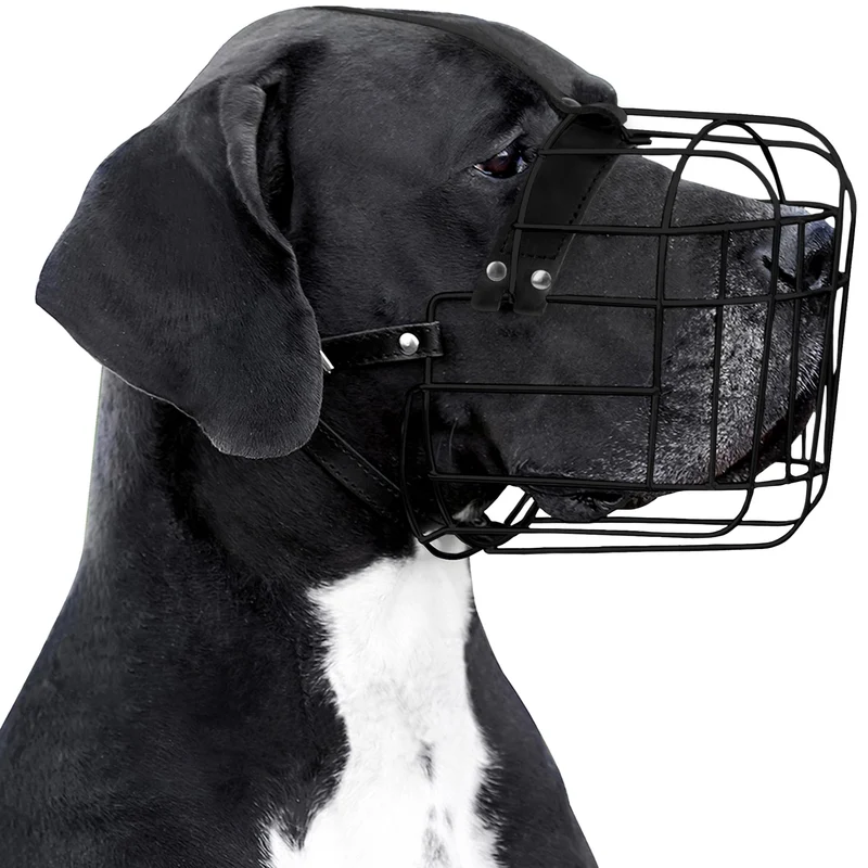 BRONZEDOG Muzzle pour Grands Chiens – Armature PVC, Lanières en Cuir, Confort et Ventilation