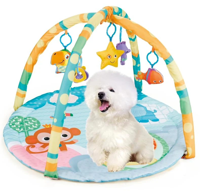 Cutie Patootie Playhouse – Gym d’activités pour chiots et chats jusqu’à 25 lb | Tapis sensoriel interactif avec jouets
