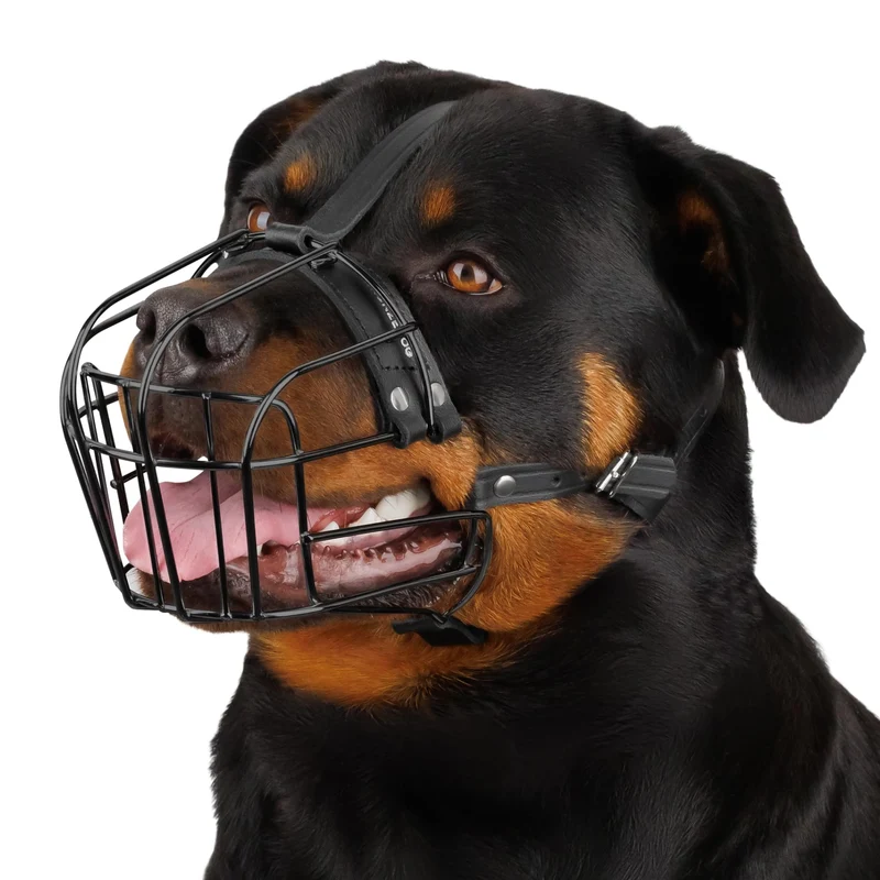 BRONZEDOG Muselière pour chien – Panier métallique réglable, cuir véritable, grande taille