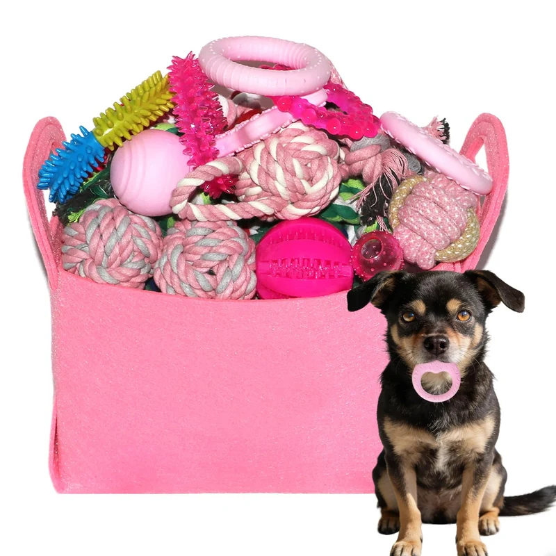 PawsAion Ensemble de 20 Jouets pour Chiots Rose – Corde, Caoutchouc Doux et Panier de Rangement