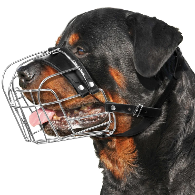 Muselière Métallique XL CleverTail pour Chiens de Grande Taille – Rottweiler, Cane Corso et Autres Grands Races