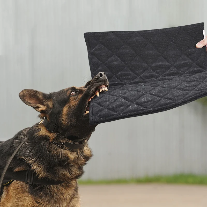 MABOZOO Tapis Indestructible pour Chiens — Anti-Mordillage, Lavable en Machine, 17x23 in, Noir