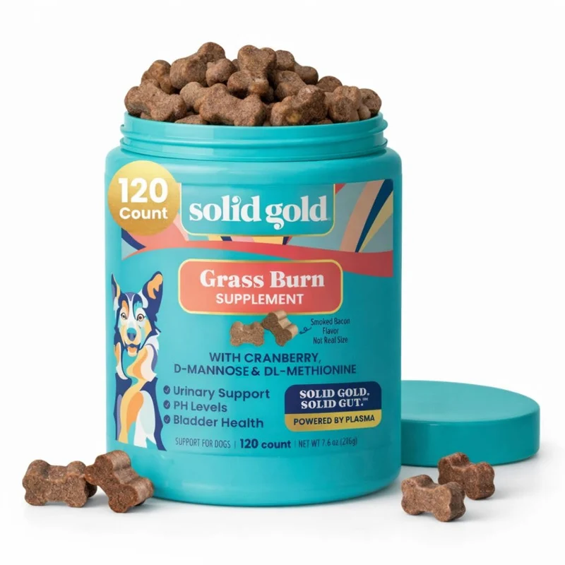 Solid Gold Bouchées Réparation Gazon Chien – Neutralisateur Urine Pelouse avec Soutien Urinaire et pH – Bacon – 120 Bouchées