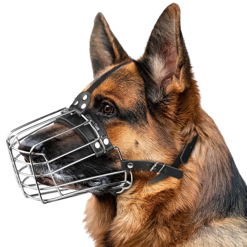 CleverTail Muselière Cage Métallique pour Grand Chien – Berger Allemand, Husky, Malinois