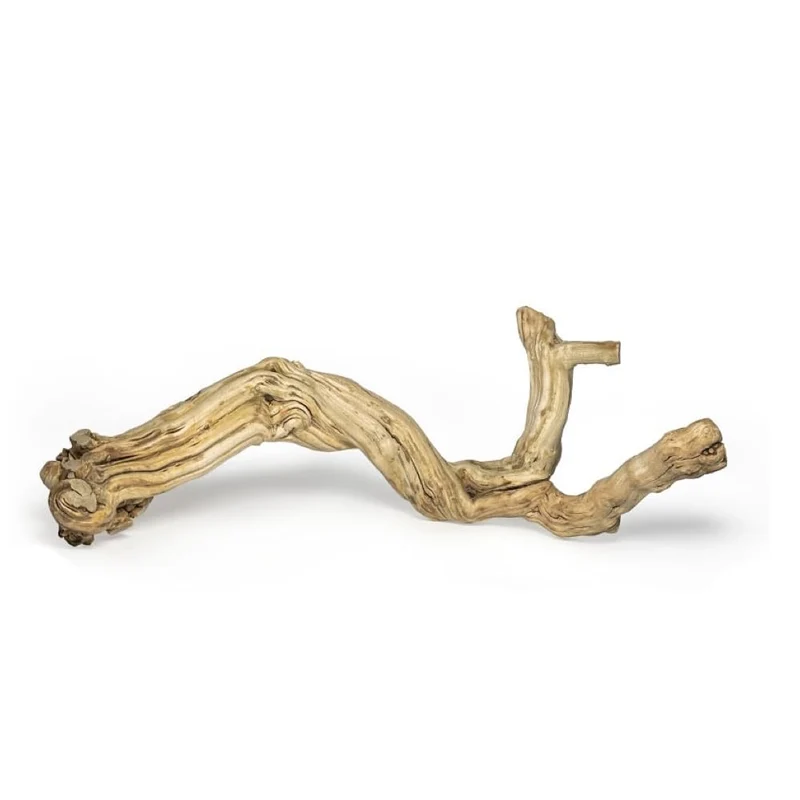 AWXZOM Grande Branche Reptile — Bois de Vigne 15-17 pouces, Unique et Poli