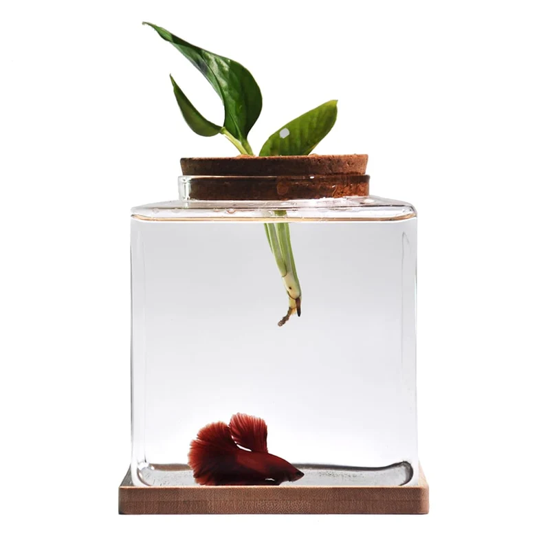 Zaborik – Aquarium de bureau Betta 0,5 gallon avec couvercle en bois et socle en bambou
