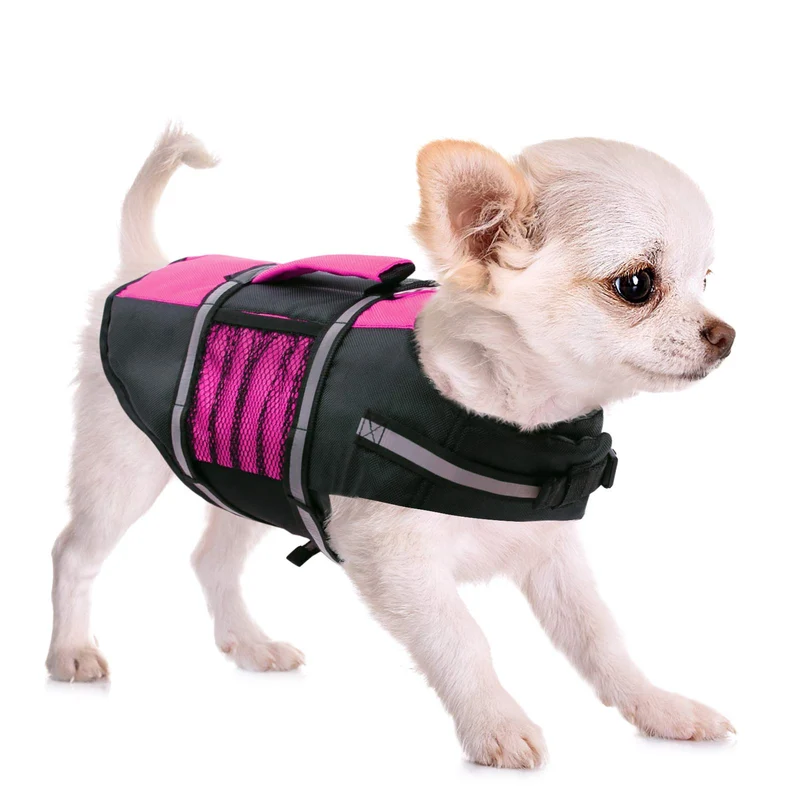 Queenmore Gilet de sauvetage pour petit chien — ajustable, haute flottabilité, poignée de secours, bandes réfléchissantes