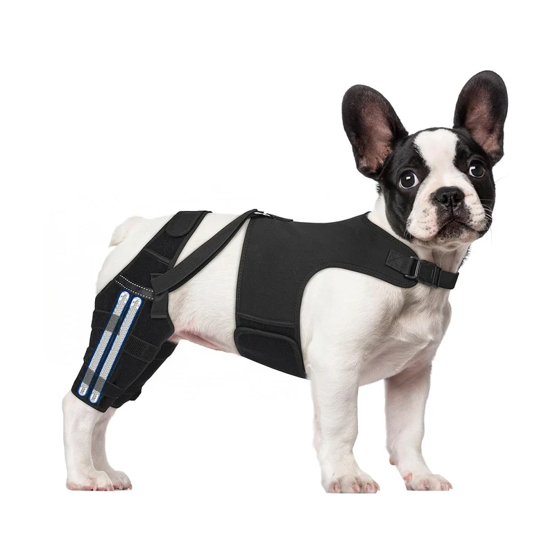 GoGoPaw Attelle Genou Chien Arrière – Attelle Ajustable Antidérapante (Petit)