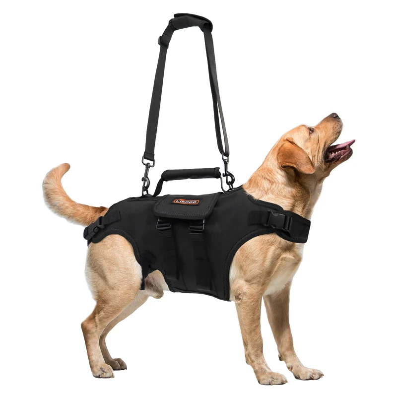RIXBEO Harnais de levage pour chien XL – soutien corporel, post-chirurgie et sénior