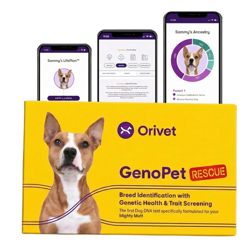 ORIVET Kit ADN Chien – Identification 365+ races & 265 marqueurs santé | Test canin à domicile