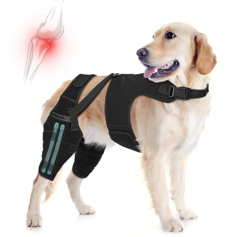 GoGoPaw Attelle Genou Chien – 4 Stabilisateurs, Sangles Réglables, Antidérapante, Grand