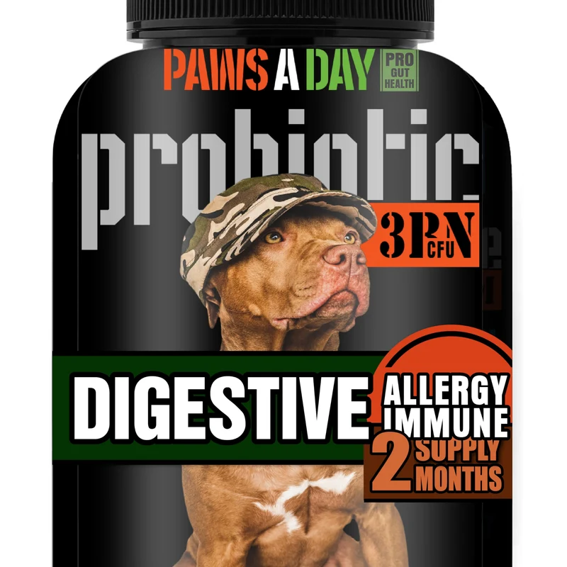 Paws A Day – Probiotiques pour Chien (3 milliards CFU) – Santé Digestive, Allergies et Immunité, 60 Gommes