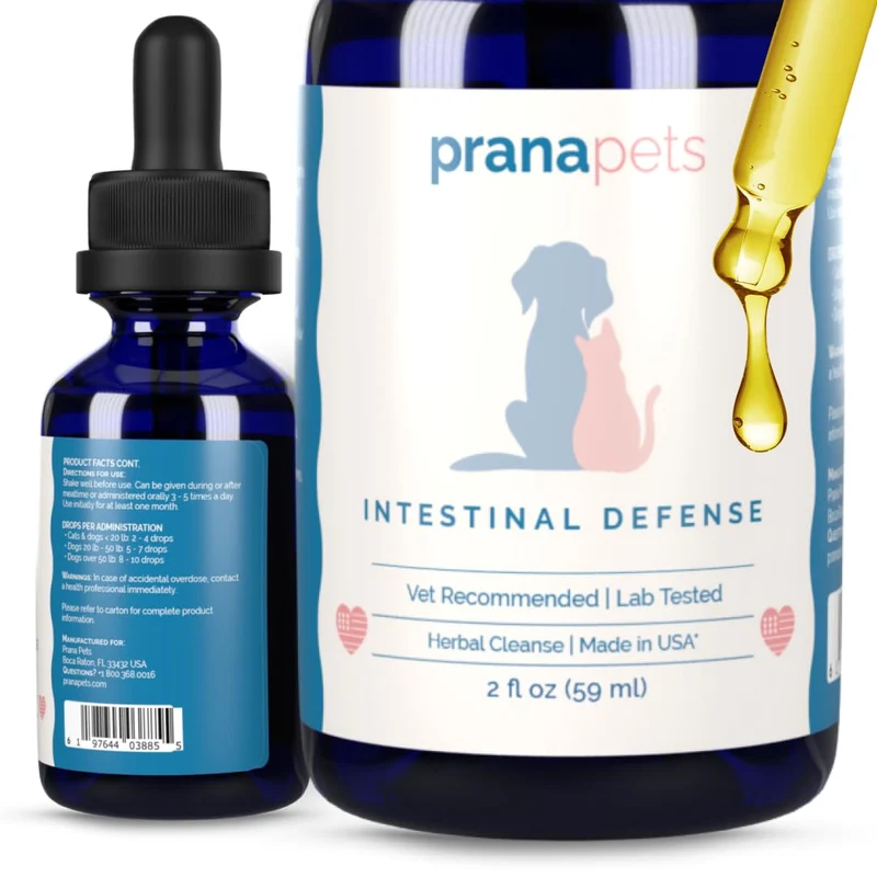 PranaPets Défense Intestinale pour chiens et chats | Aide naturelle à la digestion | Formule à base de plantes