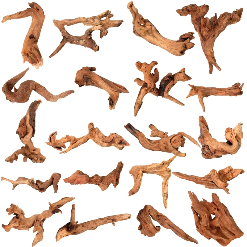 Suzile – 20 pièces de bois flotté corail naturel pour aquarium et terrarium – Déco variée et durable
