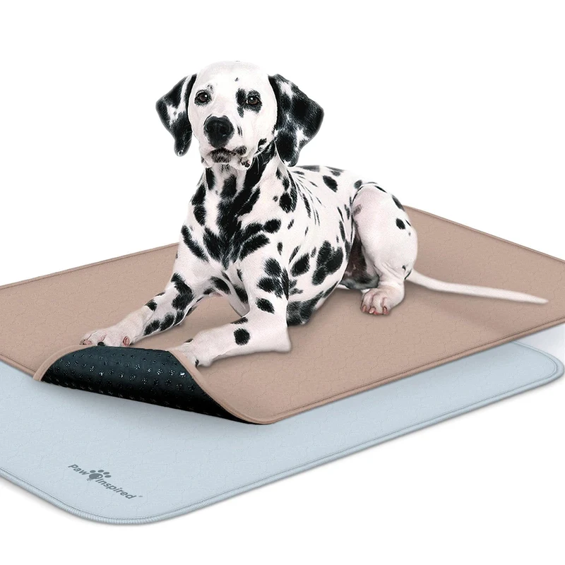 Paw Inspired Tapis Lavables pour Caisse de Chien (2 Pack) — Étanche et Anti-Glisse, 41x28 pouces