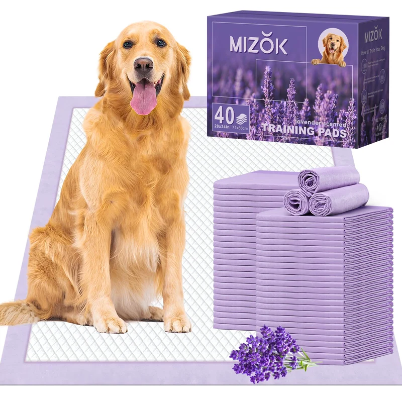 MIZOK Puppy Pads lavande 28x34 – Coussins apprentissage ultra absorbants, 40 pièces