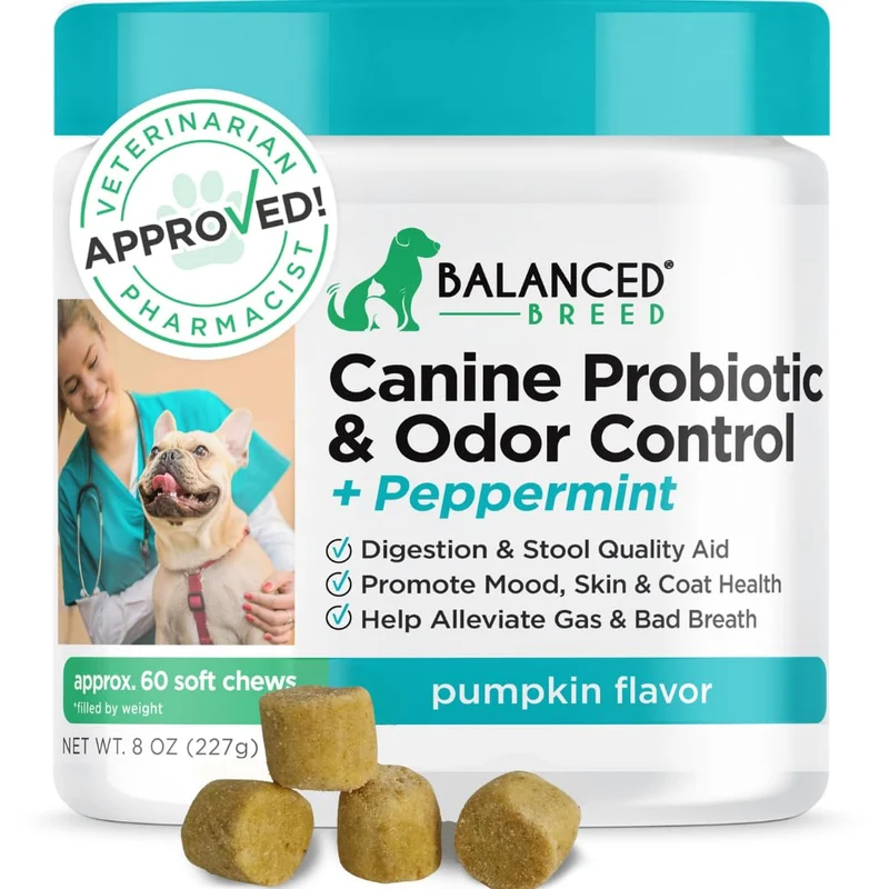 Balanced Breed Probiotiques pour Chien – Santé digestive et enzymes, Fabriqué aux États‑Unis, Non‑OGM
