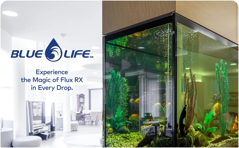 Flux RX 7000mg – Eau claire et saine pour votre aquarium sans produits chimiques