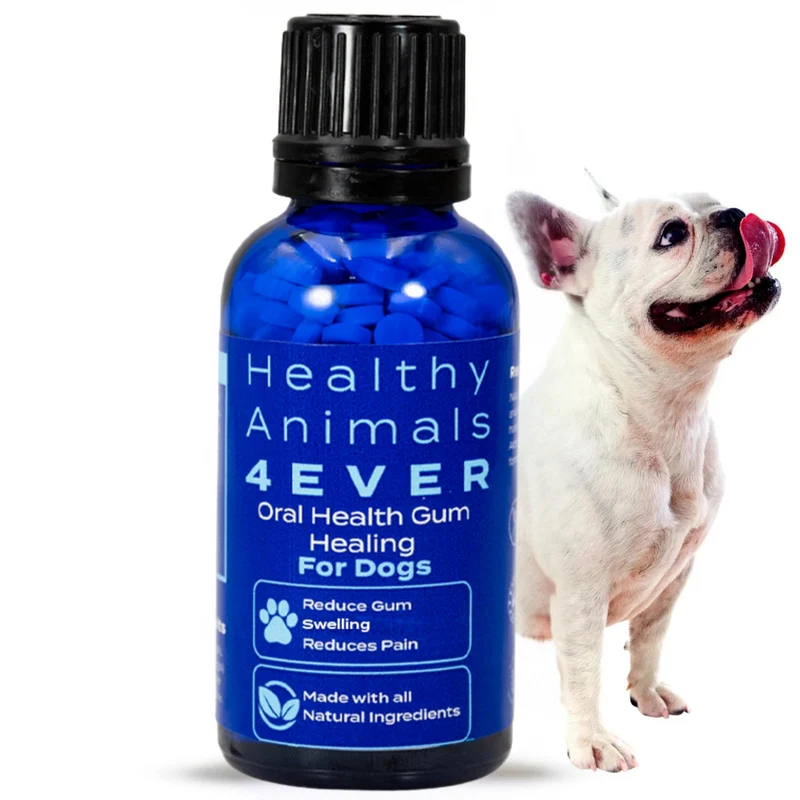HA4E - Supplément d'hygiène bucco-dentaire pour chiens - Soulage l'inflammation et l'inconfort des gencives - Naturel, Non-GMO, Biologique, Sans gluten et Sans produits chimiques - 300 comprimés