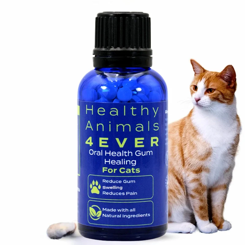 HA4E – Santé Dentaire pour Chat : Soulage Inflammation et Douleur des Gencives – Naturel, Non-GMO, Sans Gluten – 300 Comprimés