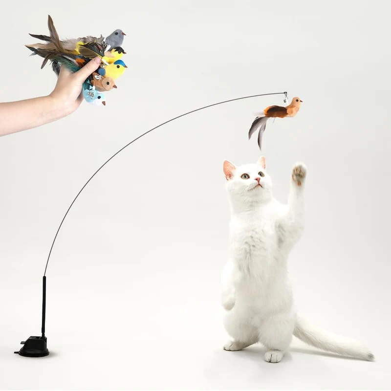 Leo's Paw – Ensemble jouet chat oiseaux interactifs (5 oiseaux colorés)