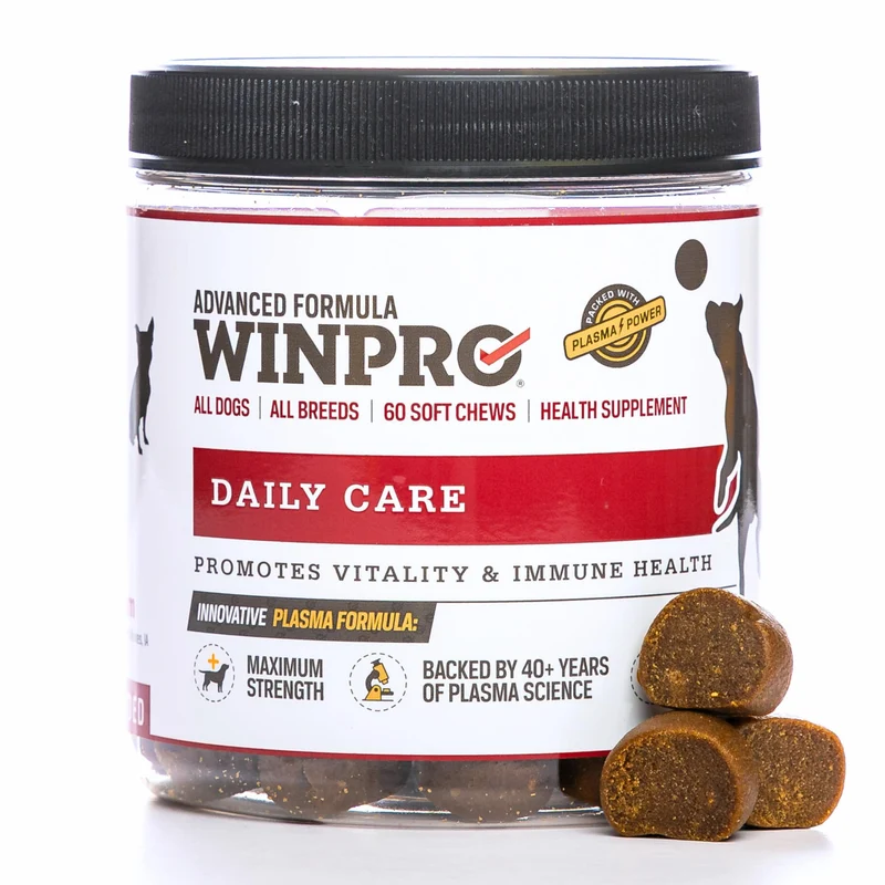 WINPRO Friables Quotidiens pour Chiens – 60 bouchées, Plasma, Sans Cereales et Probiotiques