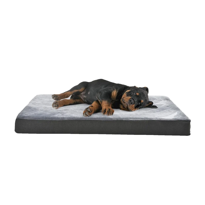 Amazon Basics Lit Chien Lavable – Gel Mémoire Refroidissant, Confort et Soutien jusqu’à 50 lb, Gris 35x22